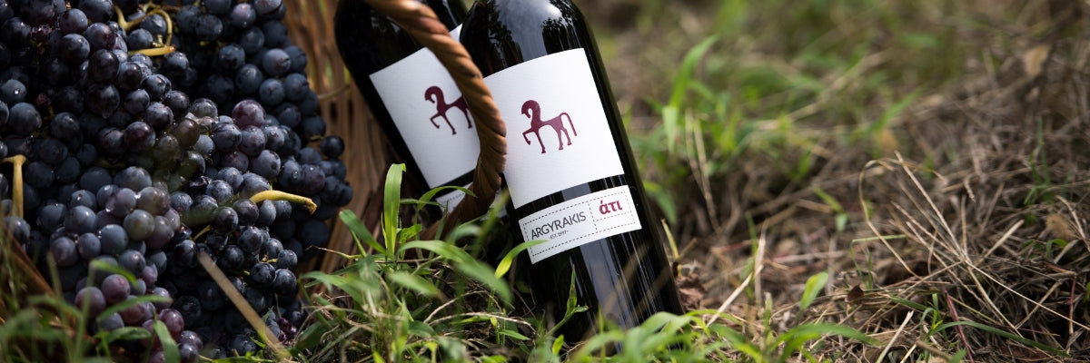 A Beginner’s Guide to Greek Wine: Discovering the Hidden Gems of Koul Agency
