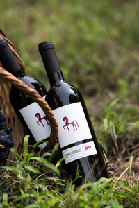 Ati Red Xinomavro, Naoussa, 2019 PGI