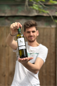 Ati White, Malagouzia-Assyrtiko-Xinomavro, Naoussa, 2023 PGI