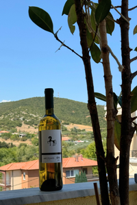 Ati White, Malagouzia-Assyrtiko-Xinomavro, Naoussa, 2023 PGI