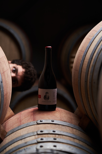 Chronos Red Xinomavro, Naoussa, 2018 PDO